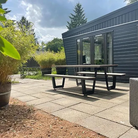 Uniek Op De Veluwe, In Bosrijke Omgeving. Chalet