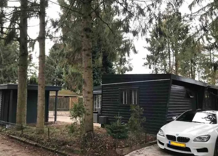 Uniek Op De Veluwe, In Bosrijke Omgeving.