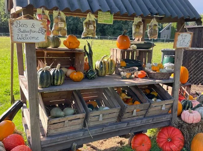 Uniek Op De Veluwe, In Bosrijke Omgeving. Putten