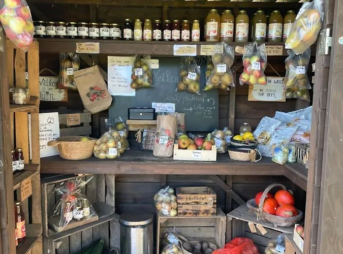 Chalet Uniek Op De Veluwe, In Bosrijke Omgeving. *