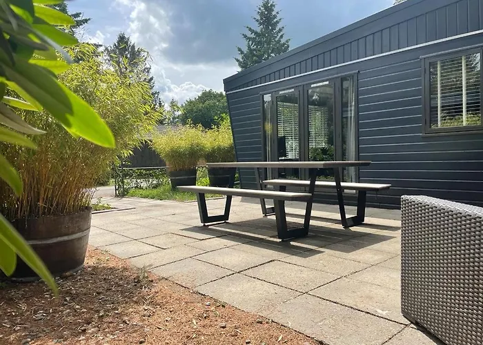 Uniek Op De Veluwe, In Bosrijke Omgeving. Chalet